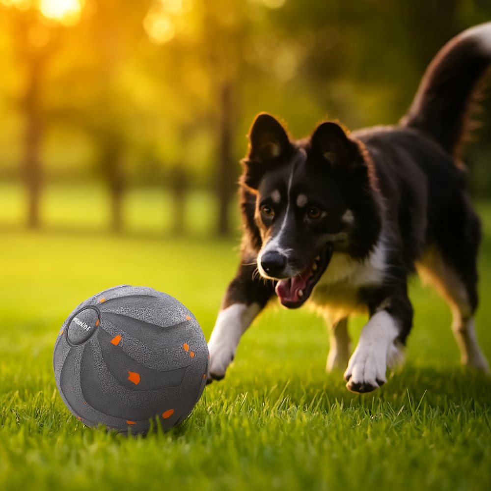 Automatic Moving Dog Ball - Palla giocattolo per cani intelligente resistente