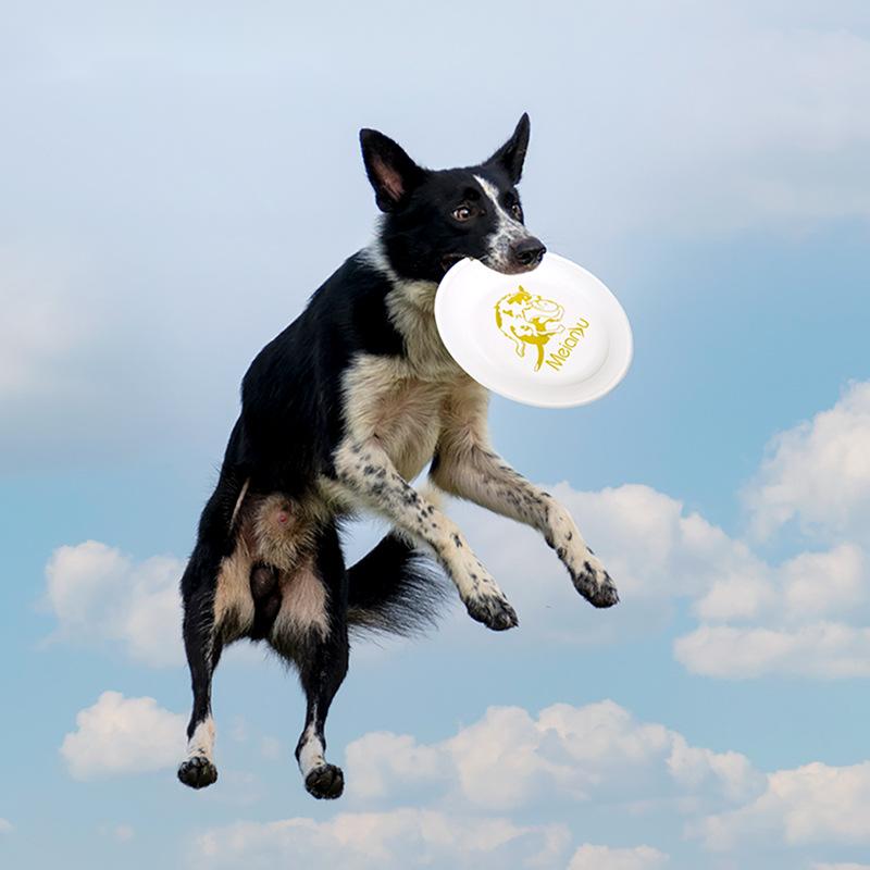 Flying Disc Dog Training Toy - OUZEY resistente al morso Pet Training