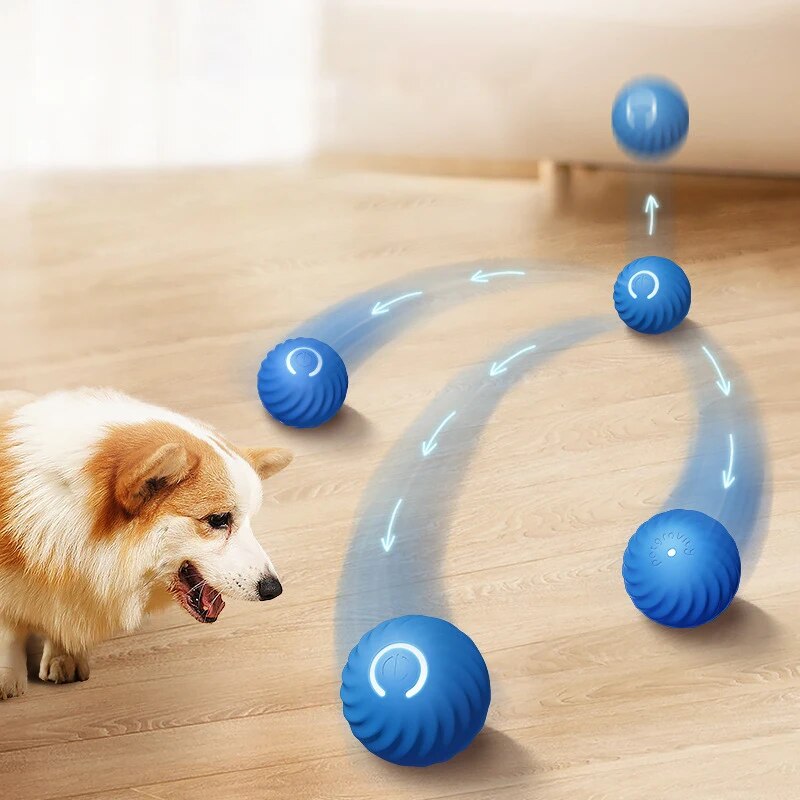 Suction Cup Dog Tug Toy - Giocattoli per cani Palla per saltare