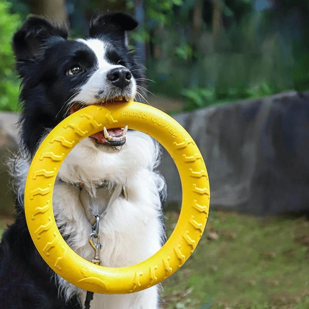 Suction Cup Dog Tug Toy - Anelli Giocattolo per Cani Indistruttibili, per