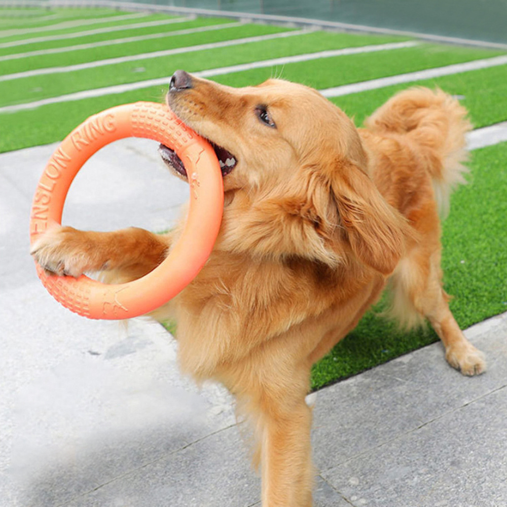 1pc Orange Dog Toys Pet Flying - Suction Cup Dog Tug Toy recensione e prezzo