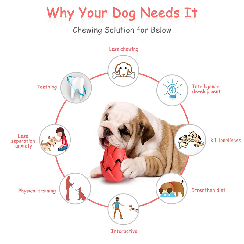 Benepaw indistruttibile Pitaya - Indestructible Dog Chew Toy recensione e prezzo