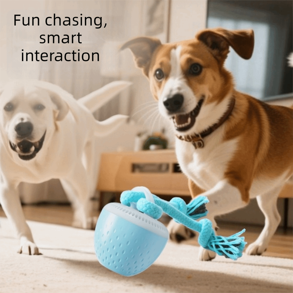 Palla Giocattolo Interattiva p - Automatic Moving Dog Ball recensione e prezzo