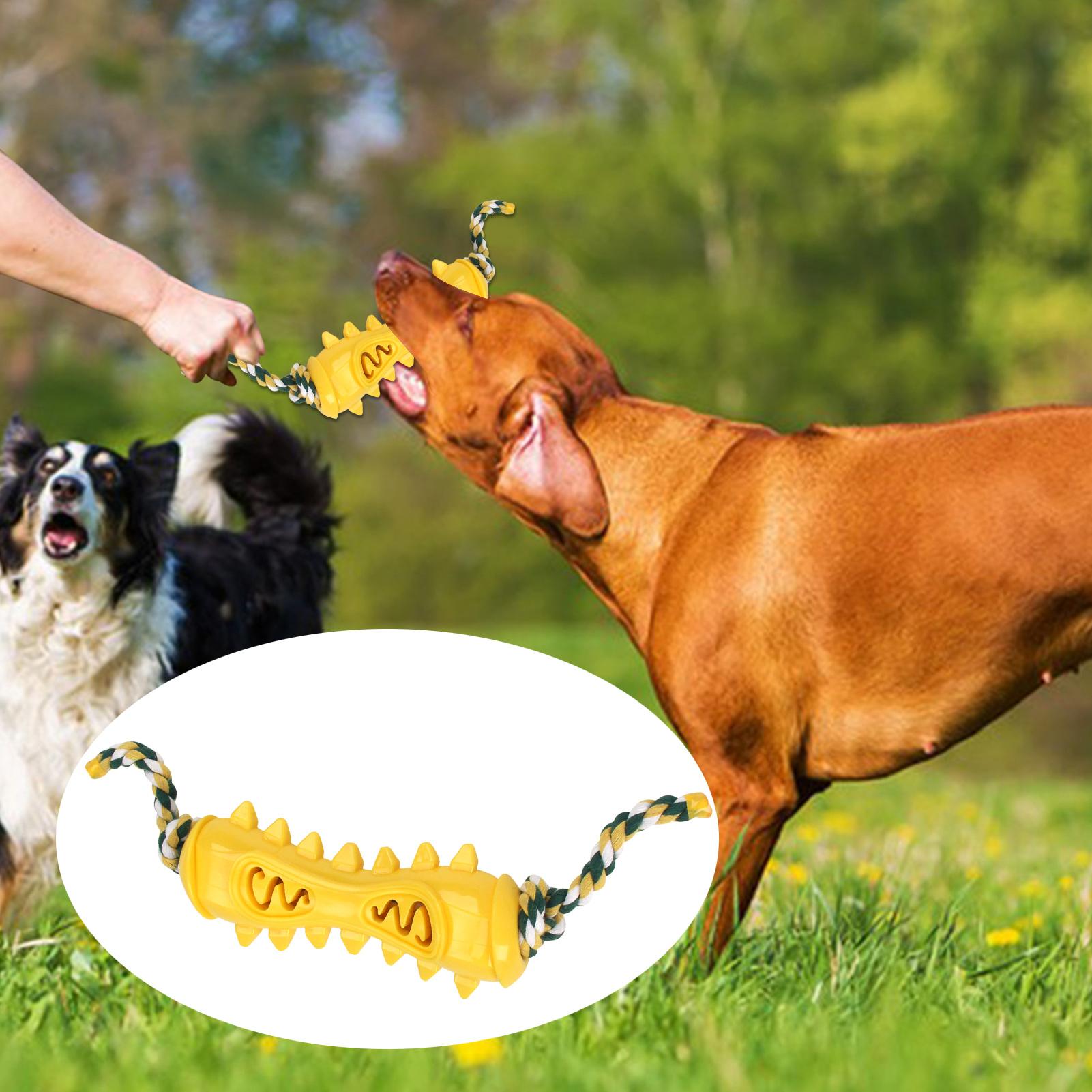 Giocattoli da masticare per ma - Dog Rope Toy Aggressive Chewers recensione e prezzo