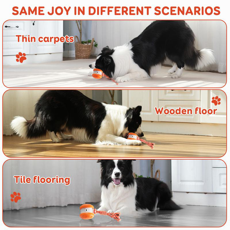 Palla Giocattolo Interattiva E - Automatic Moving Dog Ball recensione e prezzo