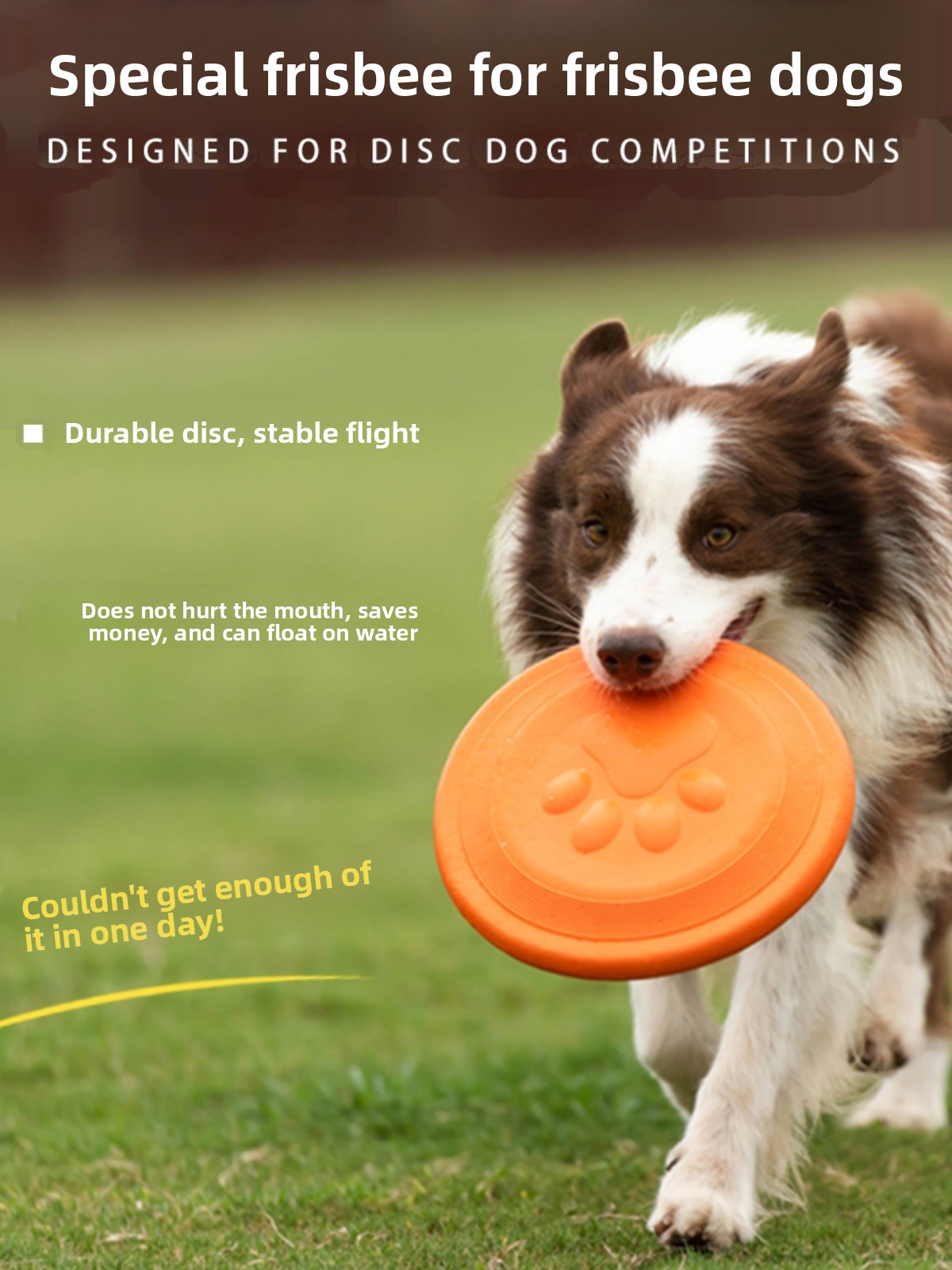 Disco Volante per Cani Morbido - Flying Disc Dog Training Toy recensione e prezzo