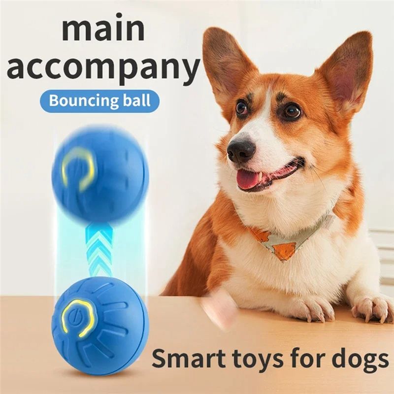 AT84-2PCS Pallina Intelligente - Automatic Moving Dog Ball recensione e prezzo