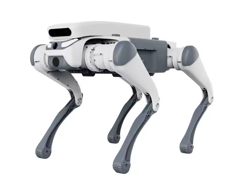 acrobatico telecomando giocatt - Dog Toys recensione e prezzo