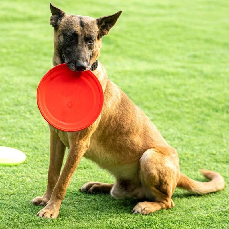 Frisbee per Cani in Plastica D - Flying Disc Dog Training Toy recensione e prezzo