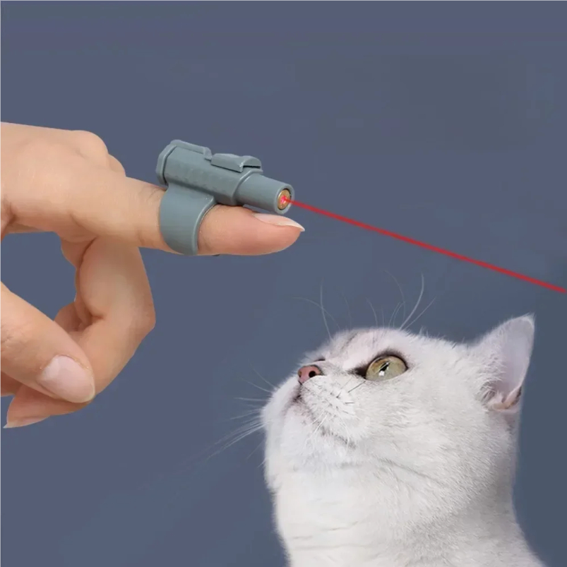 Giocattolo Laser Portatile per - Laser Pointer Cat Toy Automatic recensione e prezzo