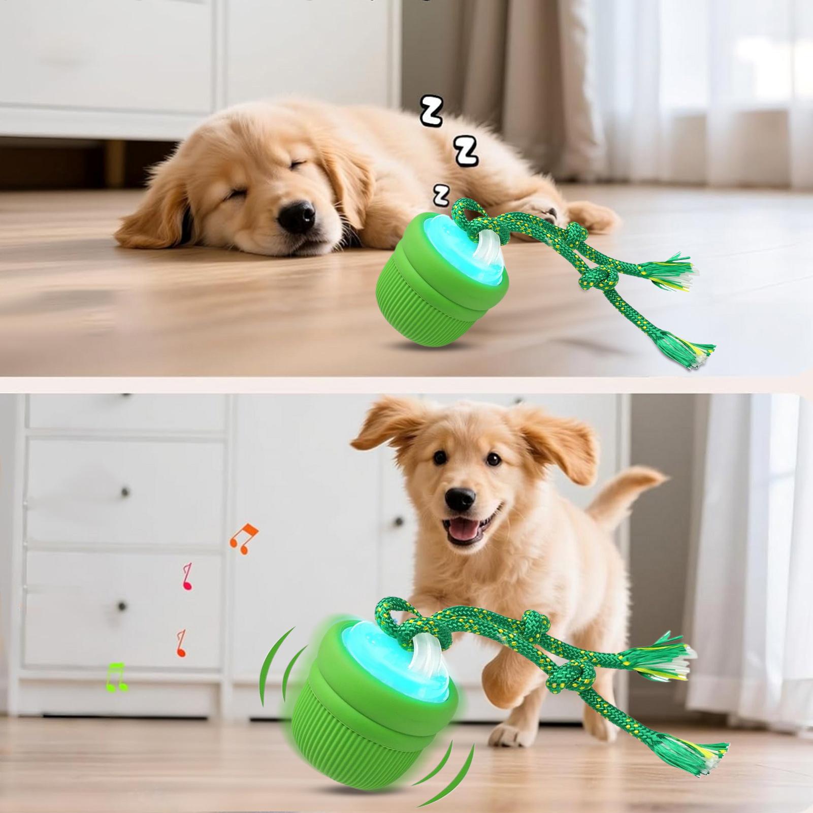 Palla interattiva per cani Pal - Automatic Moving Dog Ball recensione e prezzo