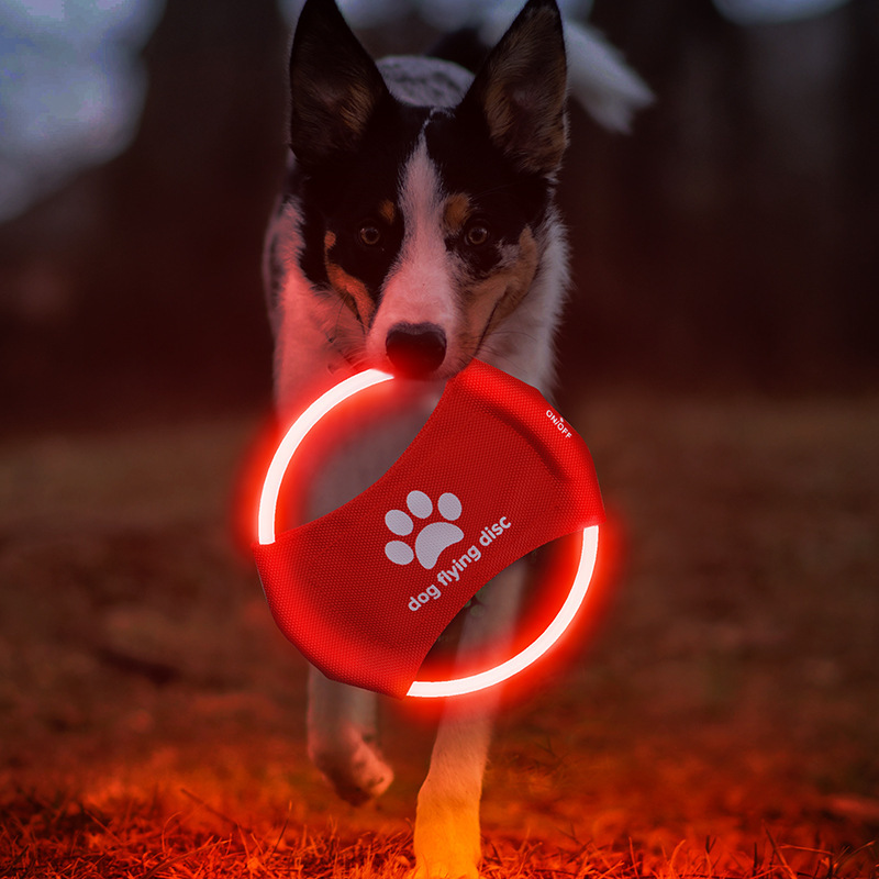 Disco volante per cani a LED,  - Flying Disc Dog Training Toy recensione e prezzo