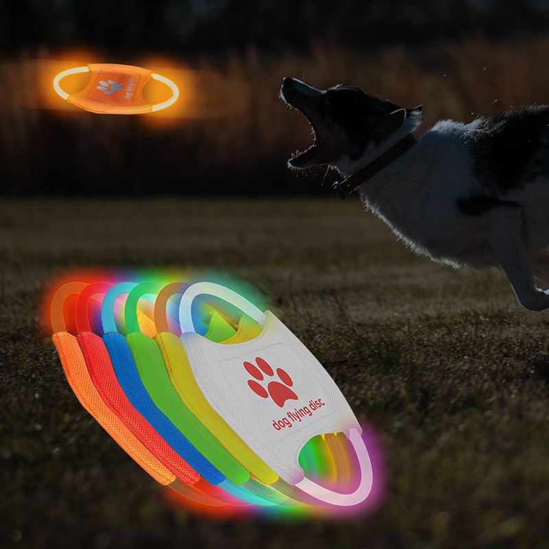 Disco volante per cani a LED,  - Flying Disc Dog Training Toy recensione e prezzo