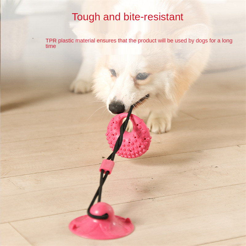 Giocattoli per cani Ventosa in - Suction Cup Dog Tug Toy recensione e prezzo