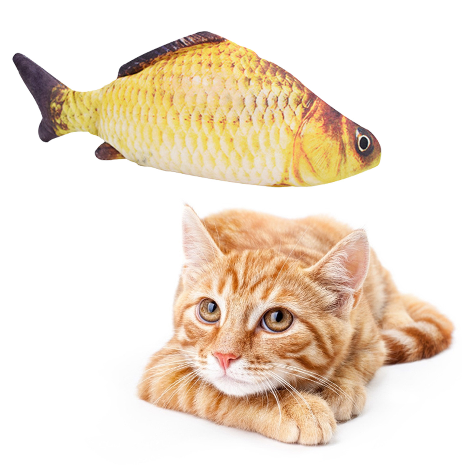 Giocattolo per Gatti a Forma d - Electric Floppy Fish Dog Toy recensione e prezzo