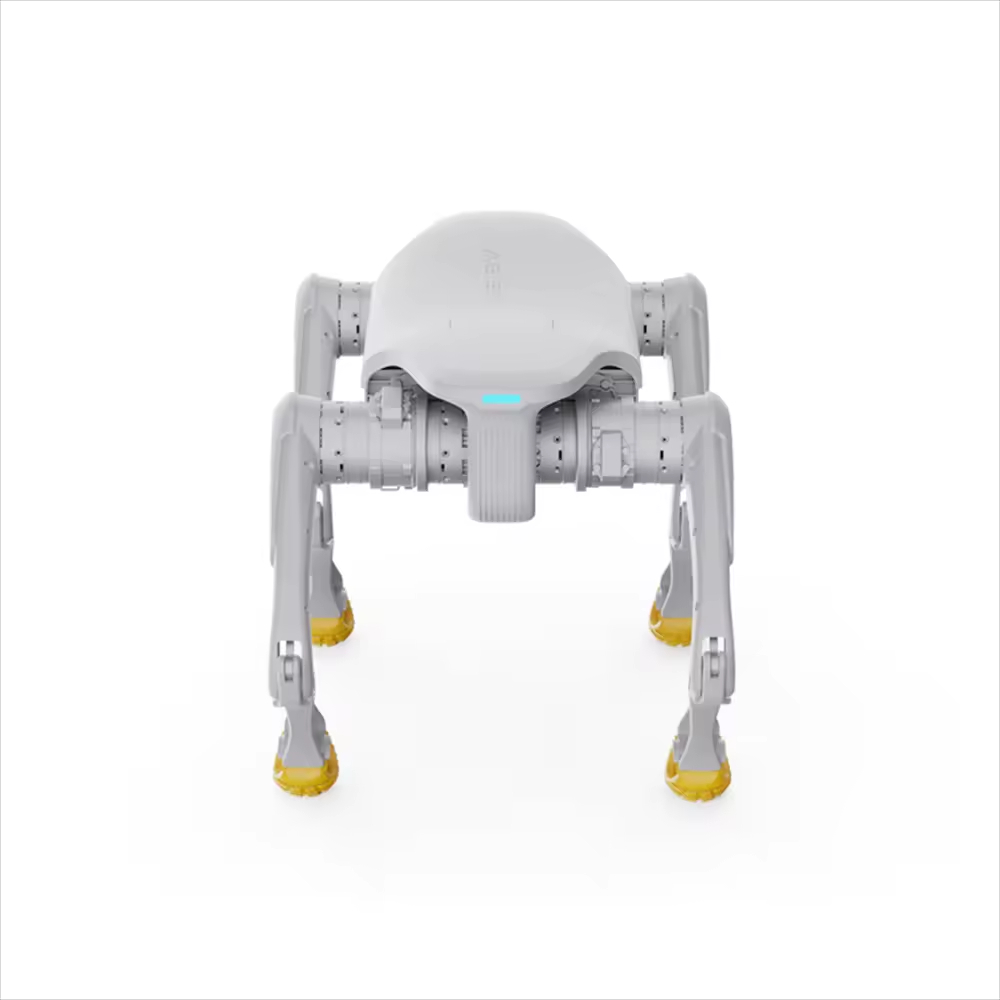 Robot per cani di design Gioca - Dog Toys recensione e prezzo