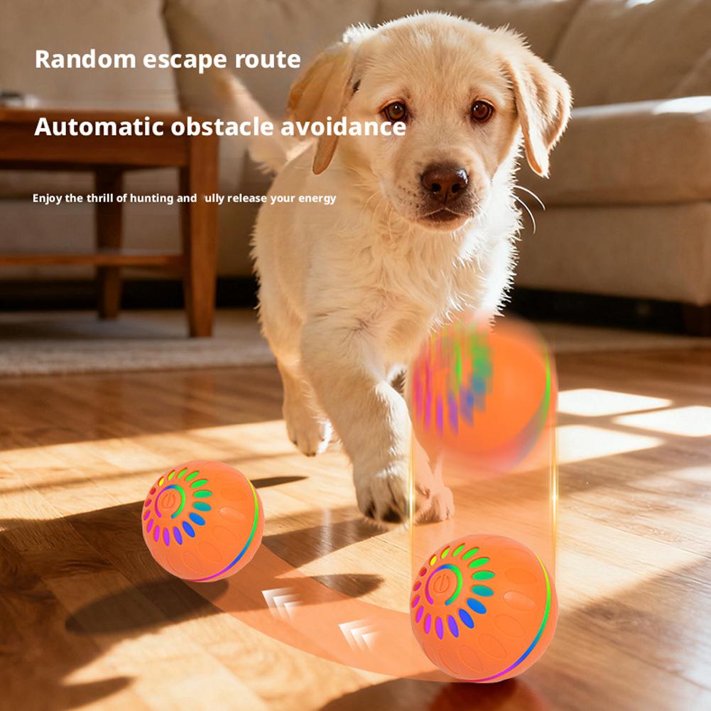 Palla Giocattolo Intelligente  - Automatic Moving Dog Ball recensione e prezzo
