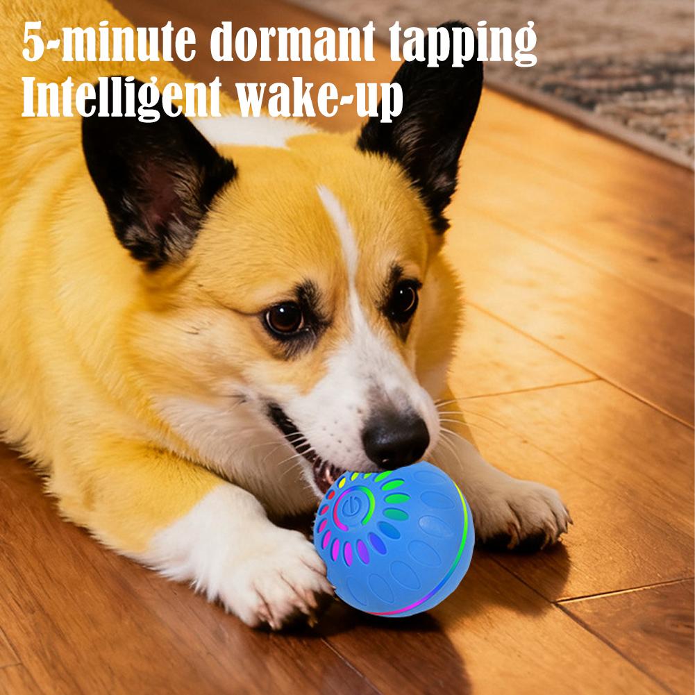 Palla Giocattolo Intelligente  - Automatic Moving Dog Ball recensione e prezzo