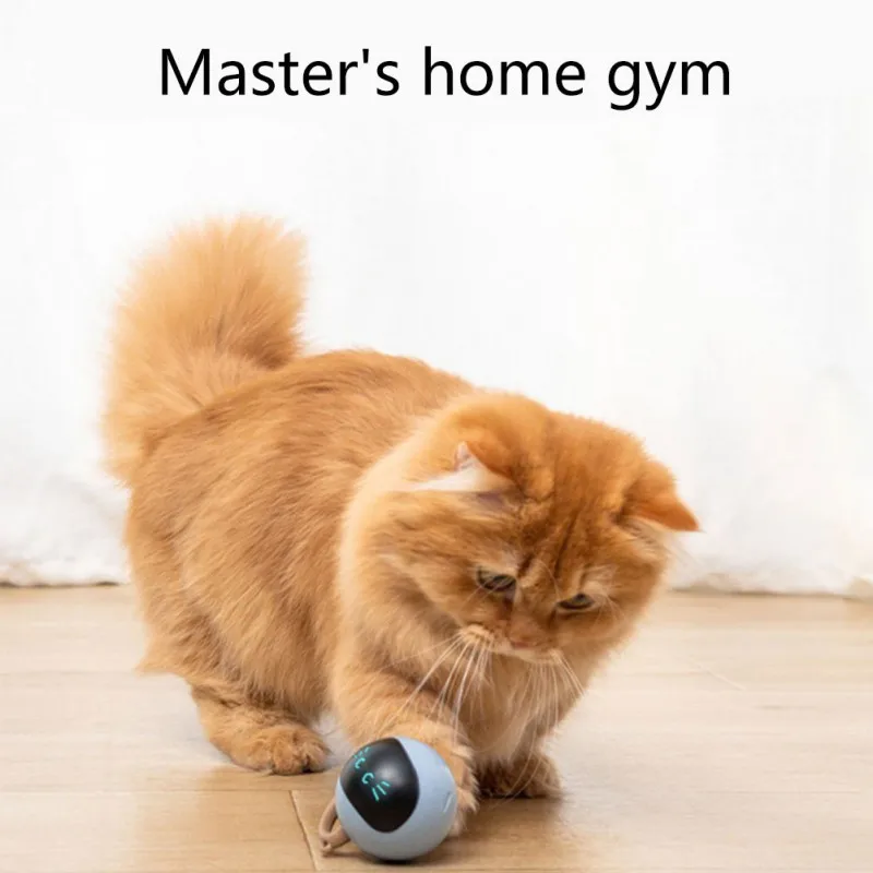 Giocattolo interattivo con pal - Automatic Moving Dog Ball recensione e prezzo