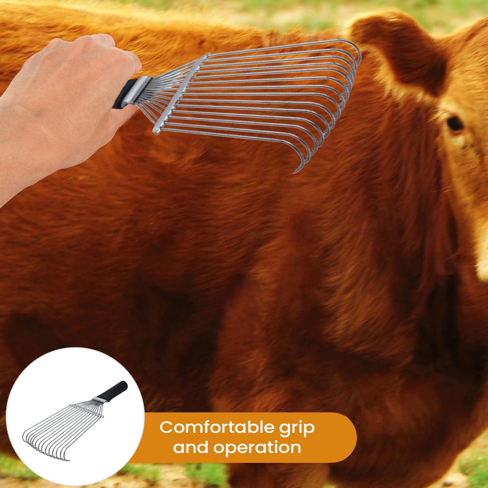 Rastrello per toelettatura per - Pet Grooming recensione e prezzo
