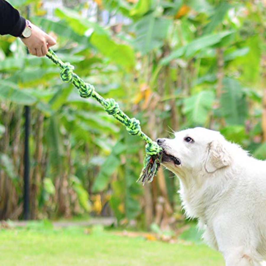 Giocattoli per Cani di Taglia  - Dog Rope Toy Aggressive Chewers recensione e prezzo