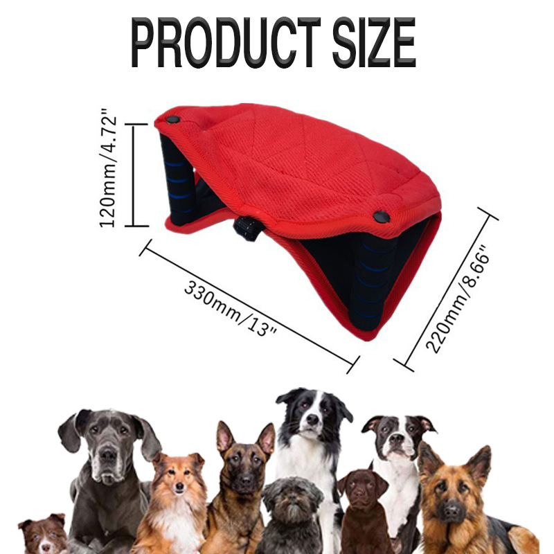 Cuscino da Morso per Cani in J - Interactive Squeaky Plush Dog Toy recensione e prezzo