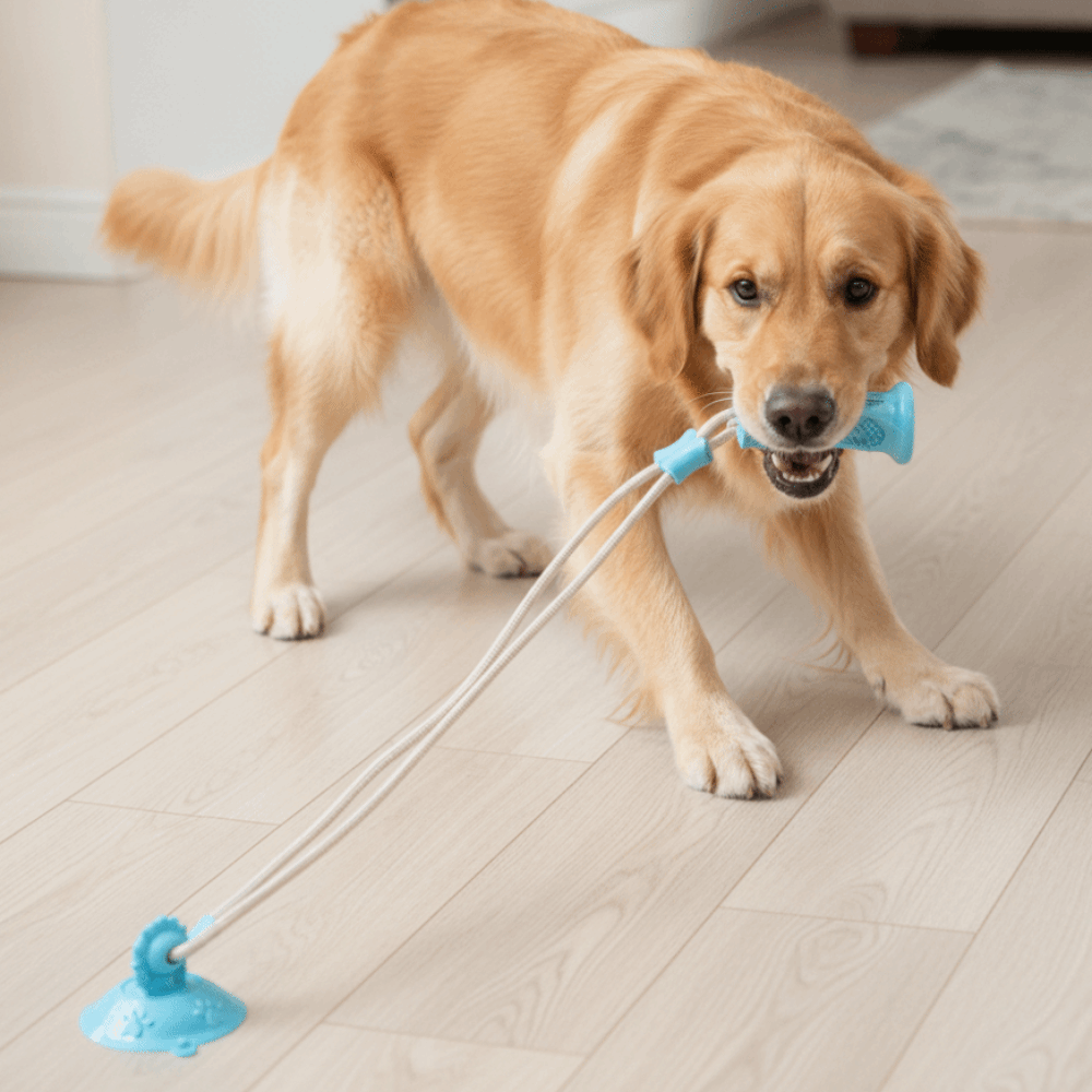 Giocattolo per Cani Resistente - Suction Cup Dog Tug Toy recensione e prezzo