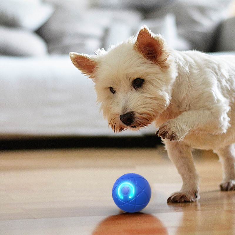 Palla giocattolo per cani inte - Automatic Moving Dog Ball recensione e prezzo