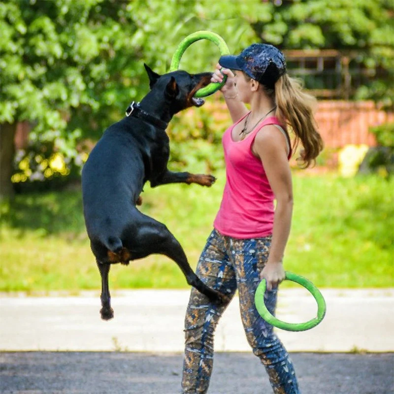 Giocattoli per cani dischi vol - Flying Disc Dog Training Toy recensione e prezzo