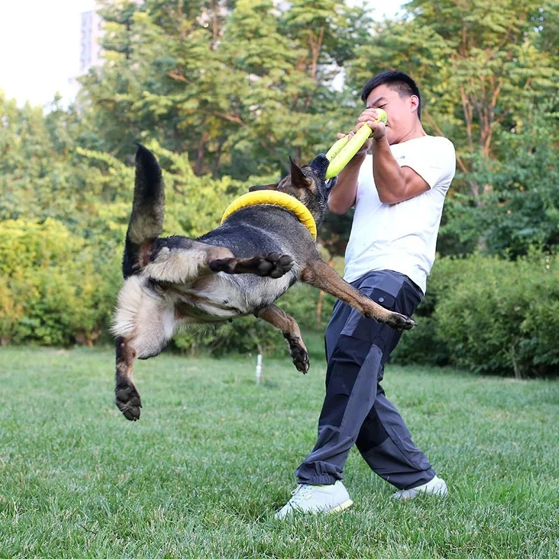 Giocattoli per cani dischi vol - Flying Disc Dog Training Toy recensione e prezzo