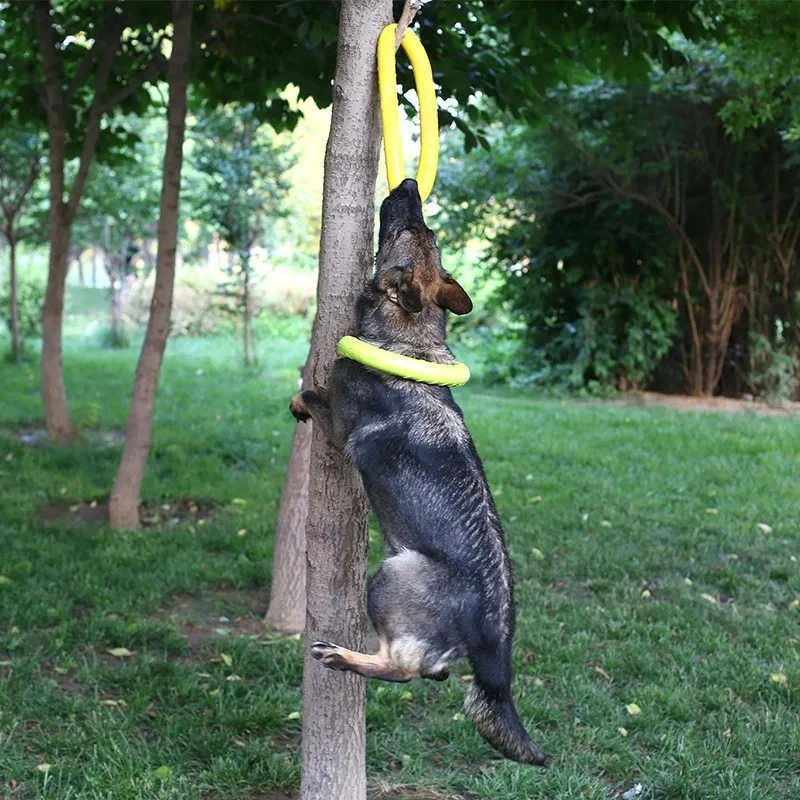 Giocattoli per cani: Frisbee v - Flying Disc Dog Training Toy recensione e prezzo