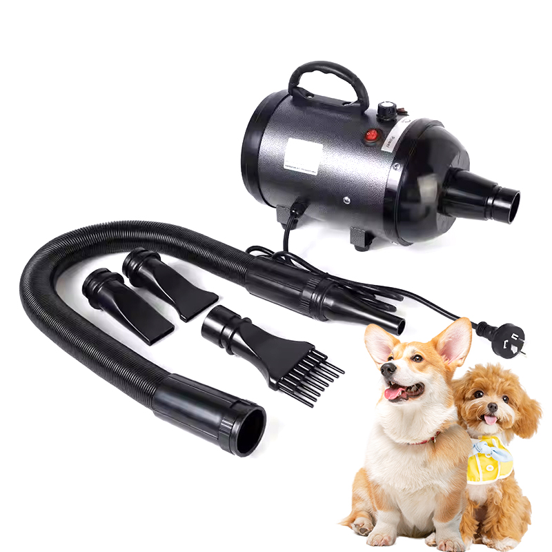 Accessorio Smart Touch a 4 uge - Pet Grooming recensione e prezzo