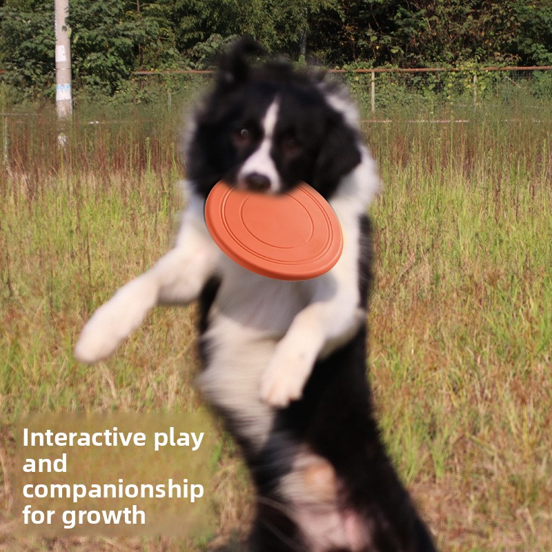 Disco Volante Morbido Galleggi - Flying Disc Dog Training Toy recensione e prezzo