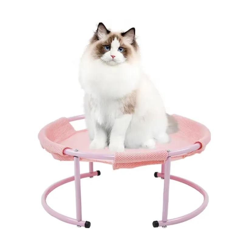 Cuccia per Cani Personalizzata - Pet Beds recensione e prezzo