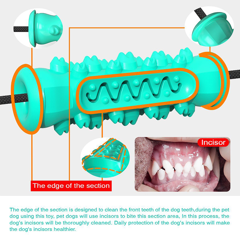 Giocattolo per cani con doppia - Dog Rope Toy Aggressive Chewers recensione e prezzo