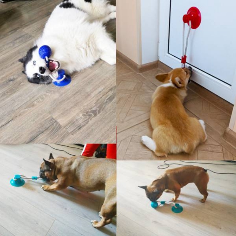 Giocattolo Interattivo per Can - Suction Cup Dog Tug Toy recensione e prezzo