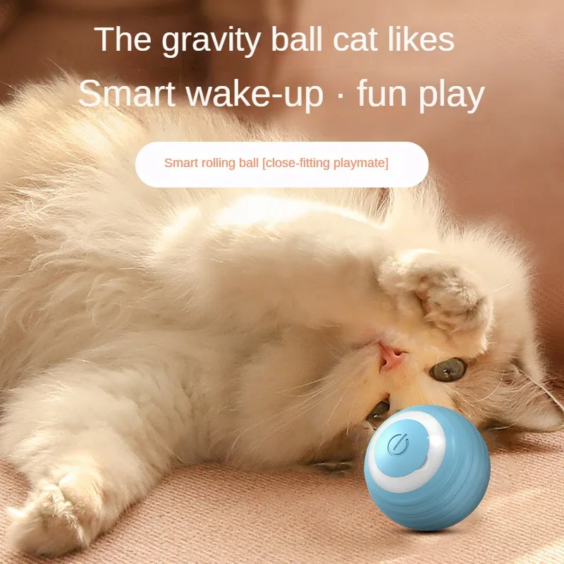 Gatti Albero Gattino che inseg - Laser Pointer Cat Toy Automatic recensione e prezzo