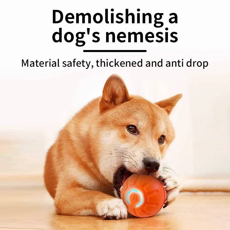 Palla Giocattolo Intelligente  - Automatic Moving Dog Ball recensione e prezzo