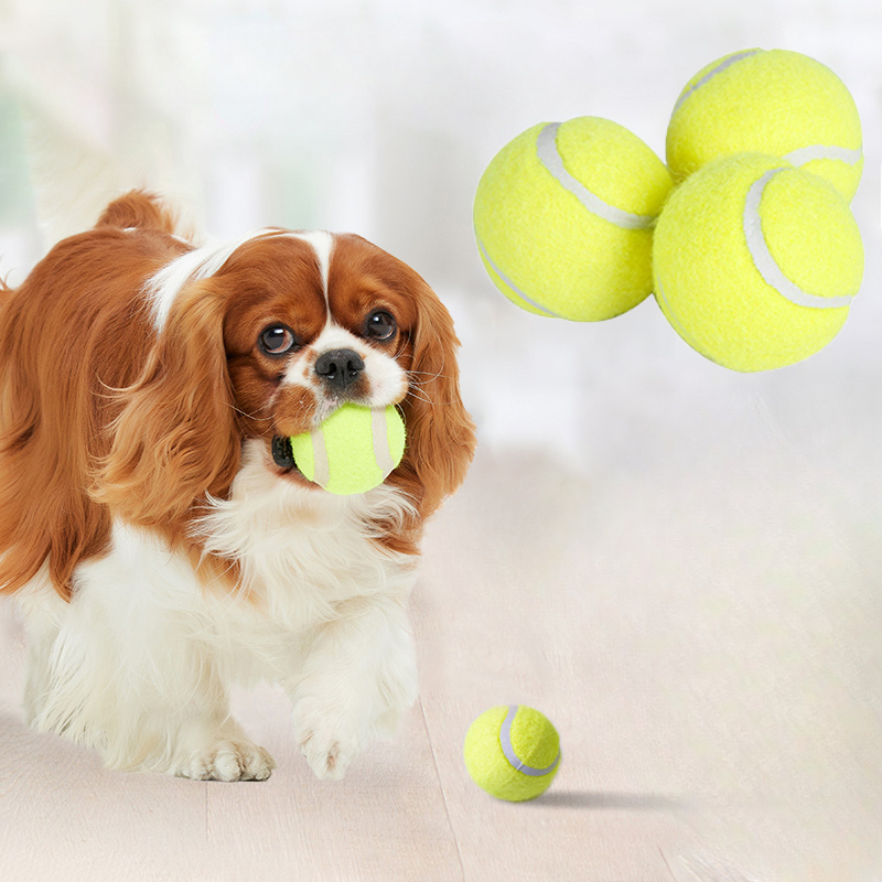 Giocattolo da masticare intera - Interactive Squeaky Plush Dog Toy recensione e prezzo