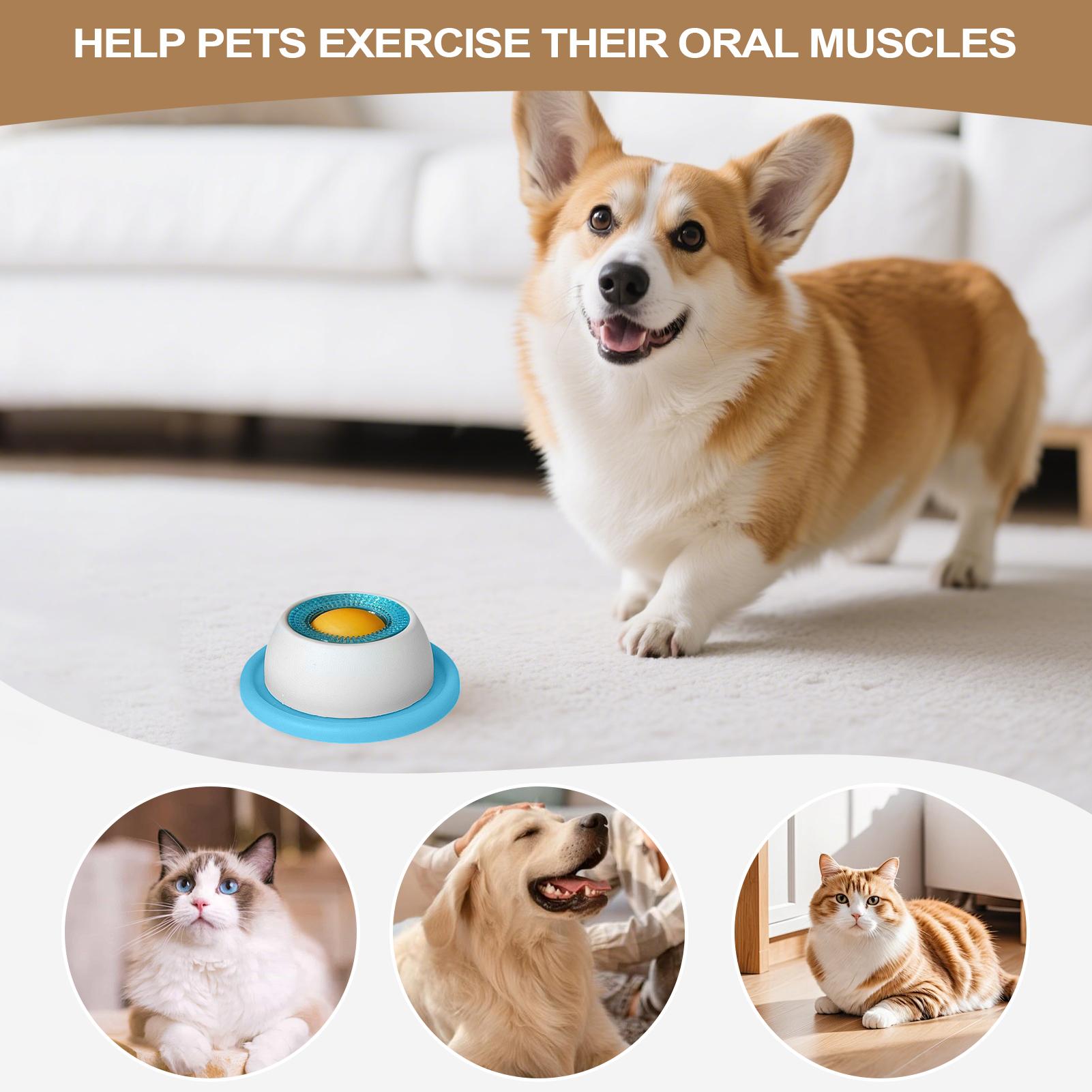 Giocattolo per cani, accessori - Dog Puzzle Feeder Toy recensione e prezzo